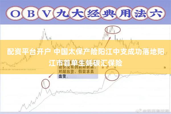 配资平台开户 中国太保产险阳江中支成功落地阳江市首单生蚝碳汇保险