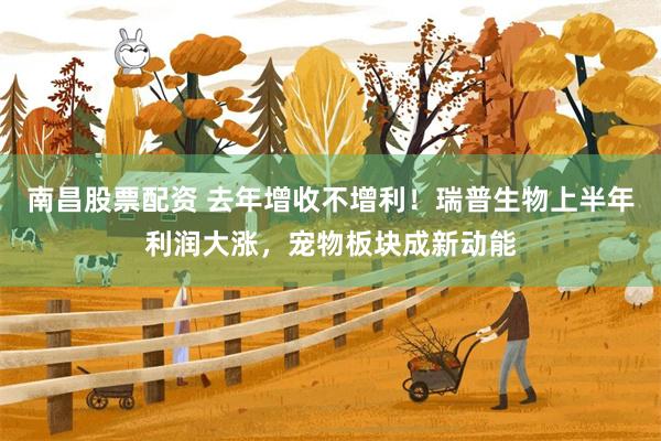 南昌股票配资 去年增收不增利！瑞普生物上半年利润大涨，宠物板块成新动能