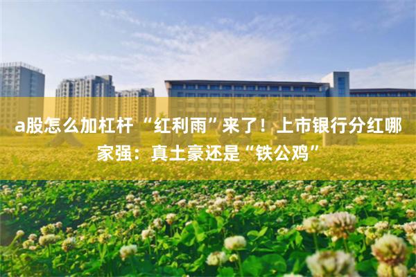 a股怎么加杠杆 “红利雨”来了！上市银行分红哪家强：真土豪还是“铁公鸡”