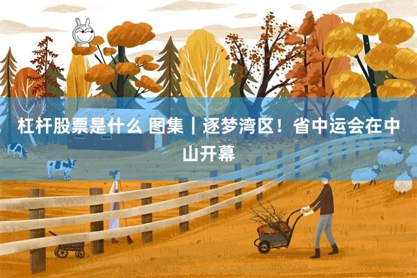 杠杆股票是什么 图集｜逐梦湾区！省中运会在中山开幕