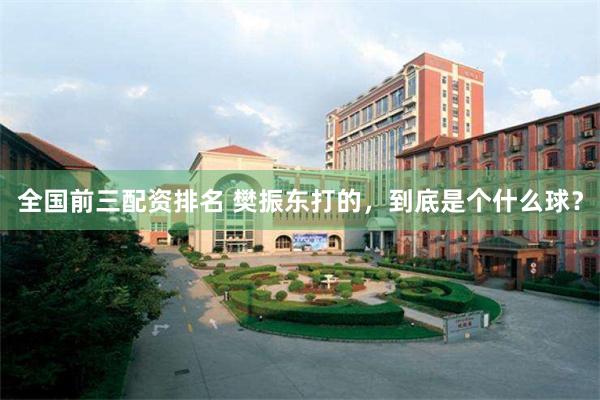 全国前三配资排名 樊振东打的，到底是个什么球？