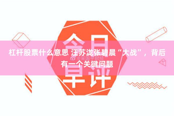 杠杆股票什么意思 汪苏泷张碧晨“大战”，背后有一个关键问题
