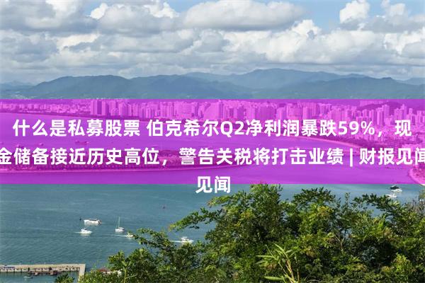 什么是私募股票 伯克希尔Q2净利润暴跌59%，现金储备接近历史高位，警告关税将打击业绩 | 财报见闻