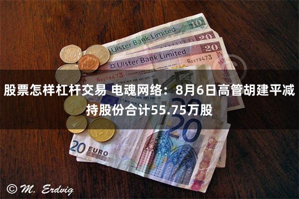 股票怎样杠杆交易 电魂网络：8月6日高管胡建平减持股份合计55.75万股