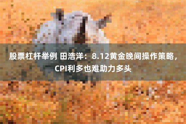 股票杠杆举例 田浩洋：8.12黄金晚间操作策略，CPI利多也难助力多头