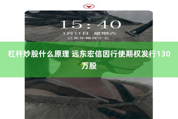 杠杆炒股什么原理 远东宏信因行使期权发行130万股