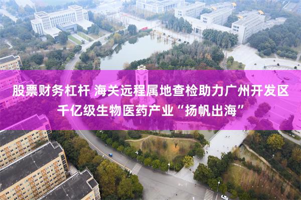 股票财务杠杆 海关远程属地查检助力广州开发区千亿级生物医药产业“扬帆出海”