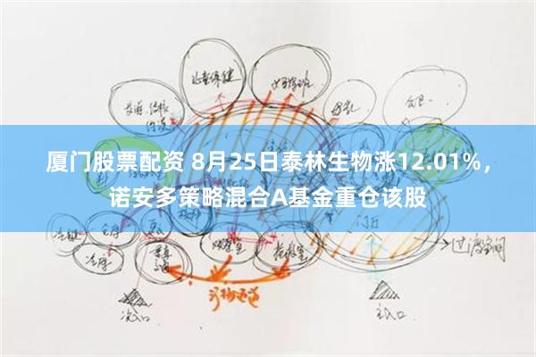 厦门股票配资 8月25日泰林生物涨12.01%，诺安多策略混合A基金重仓该股