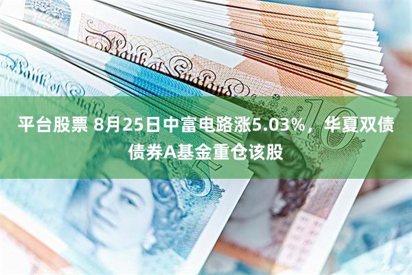 平台股票 8月25日中富电路涨5.03%，华夏双债债券A基金重仓该股