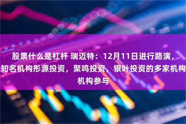 股票什么是杠杆 瑞迈特：12月11日进行路演，包括知名机构彤源投资，聚鸣投资，银叶投资的多家机构参与