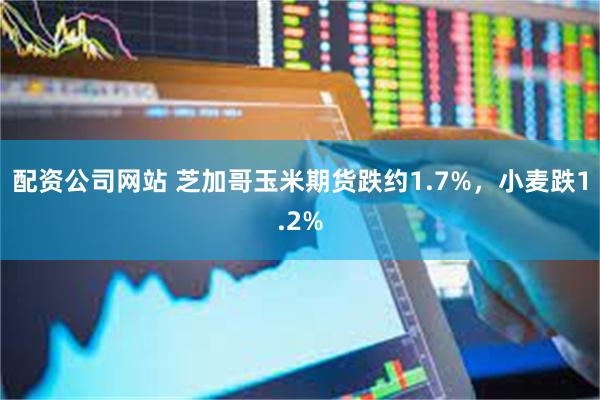 配资公司网站 芝加哥玉米期货跌约1.7%，小麦跌1.2%