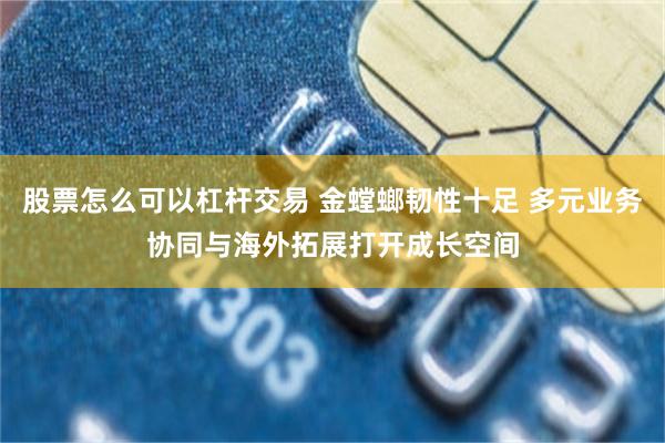 股票怎么可以杠杆交易 金螳螂韧性十足 多元业务协同与海外拓展打开成长空间