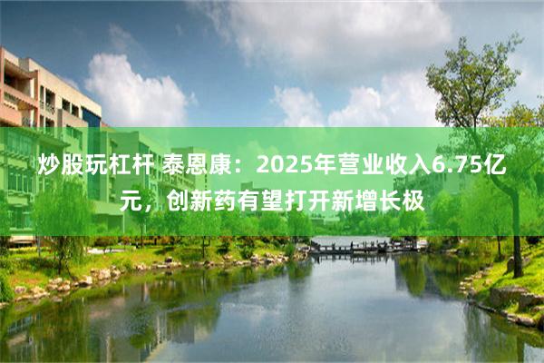 炒股玩杠杆 泰恩康：2025年营业收入6.75亿元，创新药有望打开新增长极