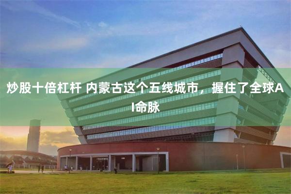 炒股十倍杠杆 内蒙古这个五线城市，握住了全球AI命脉
