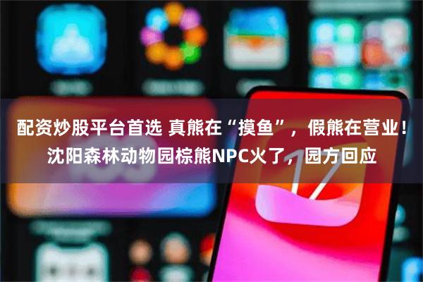 配资炒股平台首选 真熊在“摸鱼”,假熊在营业!沈阳森林动物园棕熊NPC火了,园方回应