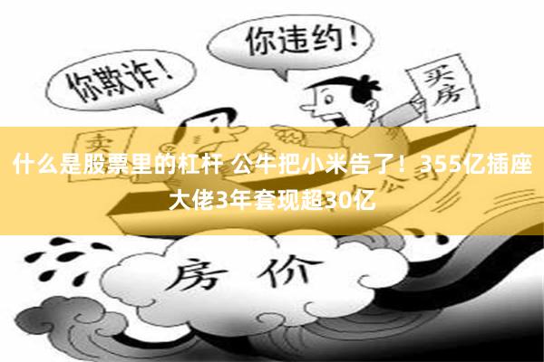 什么是股票里的杠杆 公牛把小米告了！355亿插座大佬3年套现超30亿