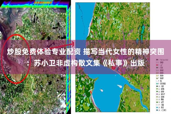 炒股免费体验专业配资 描写当代女性的精神突围：苏小卫非虚构散文集《私事》出版