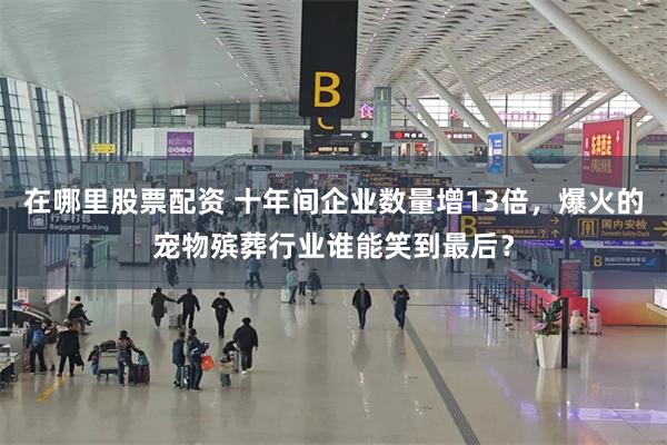 在哪里股票配资 十年间企业数量增13倍，爆火的宠物殡葬行业谁能笑到最后？