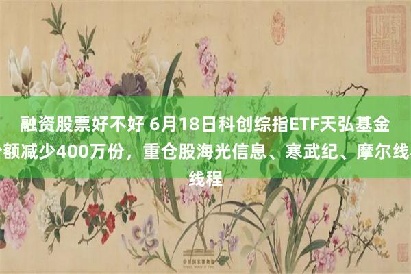 融资股票好不好 6月18日科创综指ETF天弘基金份额减少400万份,重仓股海光信息、寒武纪、摩尔线程