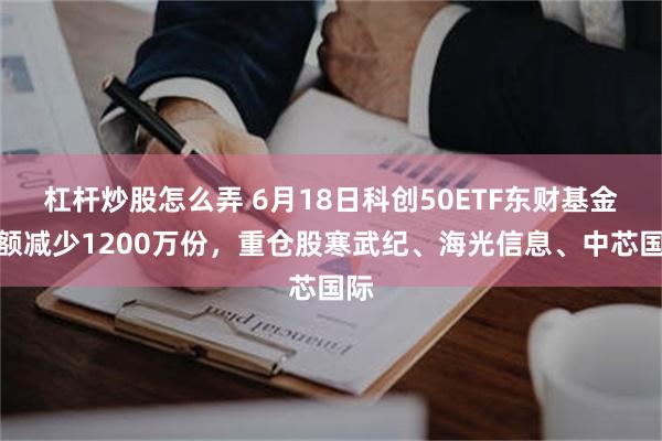 杠杆炒股怎么弄 6月18日科创50ETF东财基金份额减少1200万份，重仓股寒武纪、海光信息、中芯国际