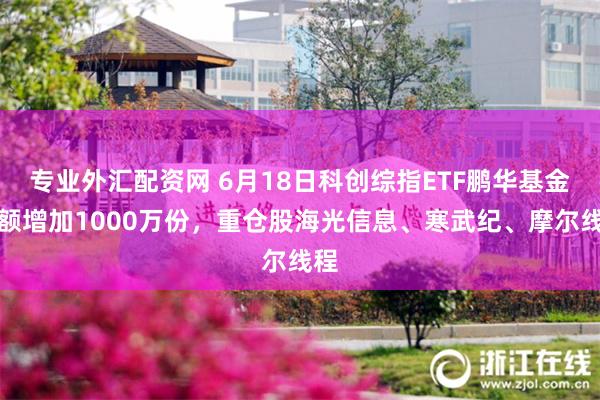 专业外汇配资网 6月18日科创综指ETF鹏华基金份额增加1000万份，重仓股海光信息、寒武纪、摩尔线程