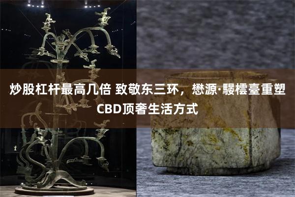 炒股杠杆最高几倍 致敬东三环，懋源·騴橒臺重塑CBD顶奢生活方式