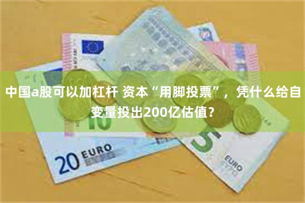 中国a股可以加杠杆 资本“用脚投票”，凭什么给自变量投出200亿估值？