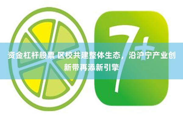 资金杠杆股票 区校共建整体生态，沿沪宁产业创新带再添新引擎