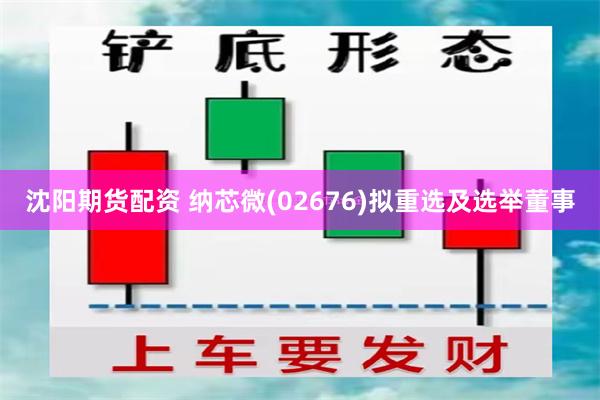 沈阳期货配资 纳芯微(02676)拟重选及选举董事
