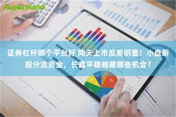 证券杠杆哪个平台好 同天上市反差明显！小盘新股分流资金，长鑫平稳暗藏哪些机会？