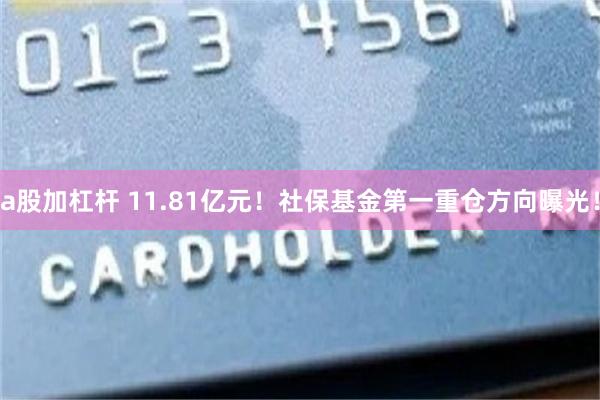 a股加杠杆 11.81亿元！社保基金第一重仓方向曝光！