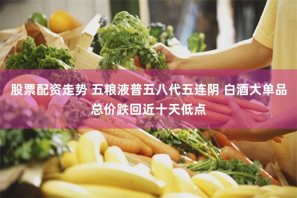股票配资走势 五粮液普五八代五连阴 白酒大单品总价跌回近十天低点