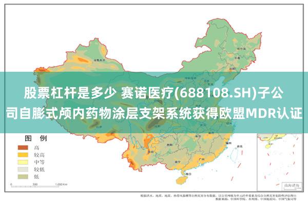 股票杠杆是多少 赛诺医疗(688108.SH)子公司自膨式颅内药物涂层支架系统获得欧盟MDR认证