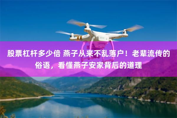 股票杠杆多少倍 燕子从来不乱落户！老辈流传的俗语，看懂燕子安家背后的道理