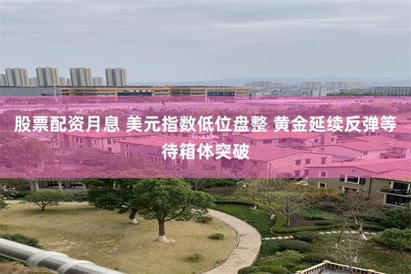 股票配资月息 美元指数低位盘整 黄金延续反弹等待箱体突破