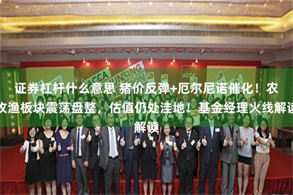 证券杠杆什么意思 猪价反弹+厄尔尼诺催化！农牧渔板块震荡盘整，估值仍处洼地！基金经理火线解读