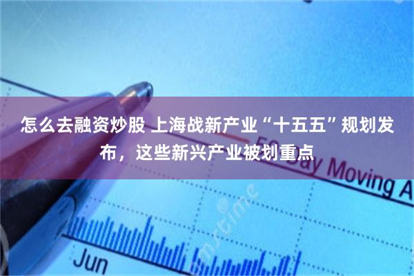 怎么去融资炒股 上海战新产业“十五五”规划发布，这些新兴产业被划重点
